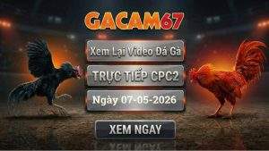 Xem Lại Video Đá Gà CPC2 Ngày 07/05/2026