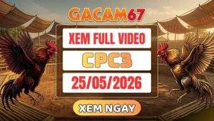 Xem Lại Video Đá Gà CPC3 Ngày 25/05/2026