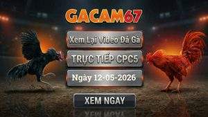 Xem Lại Video Đá Gà CPC5 Ngày 12/05/2026